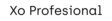 profesional-es