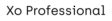 professional-en